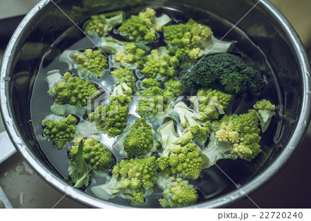 ロマネスコ 22720240