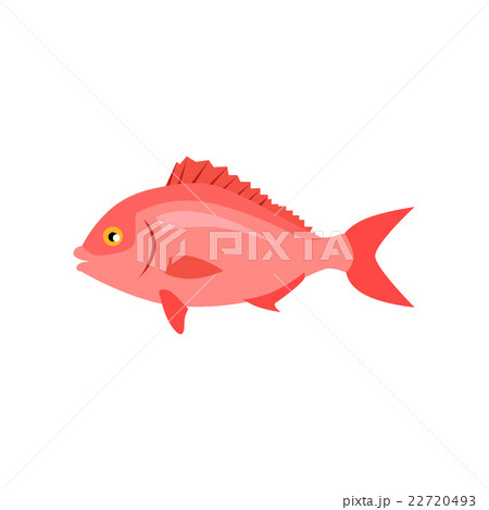 Sea Fish in Pink Color Isolated 22720493