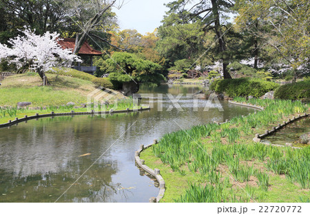 栗林公園、北庭の群鴨池の桜 栗林公園、北庭の群鴨池の桜 22720772