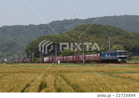 EF210形300番台電気機関車牽引貨物列車 22720899