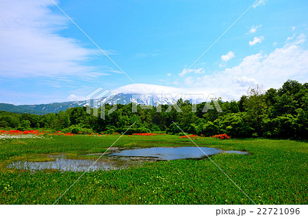 桑の木台湿原 22721096