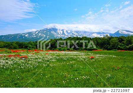 桑の木台湿原 22721097