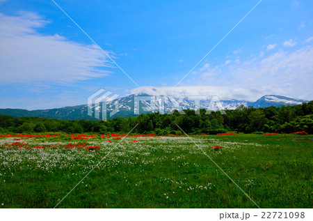 桑の木台湿原 22721098