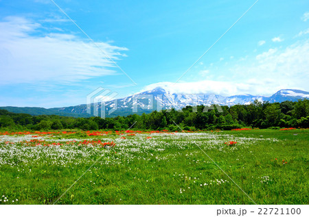 桑の木台湿原 22721100