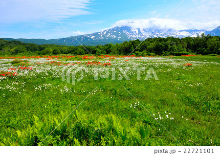 桑の木台湿原 22721101