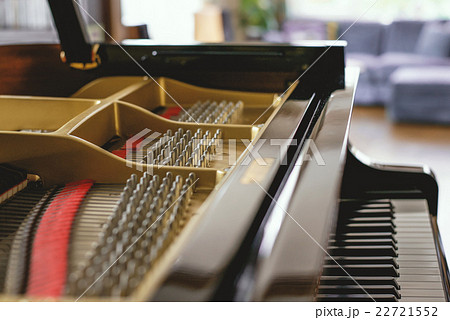 グランドピアノ 22721552