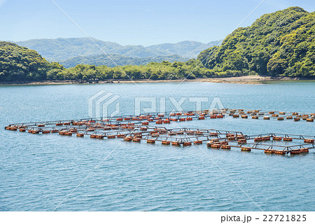 九十九島の海で見られるタイ養殖のいかだ（長崎県佐世保市） 22721825
