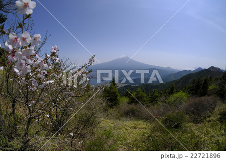 新道峠の春 新道峠の春 22721896