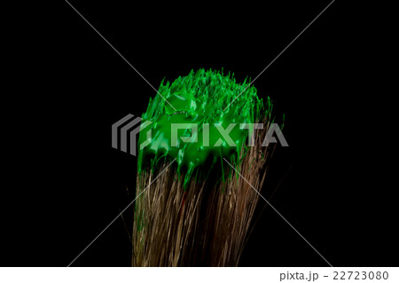 paint brush painting with green color paint brush painting with green color 22723080