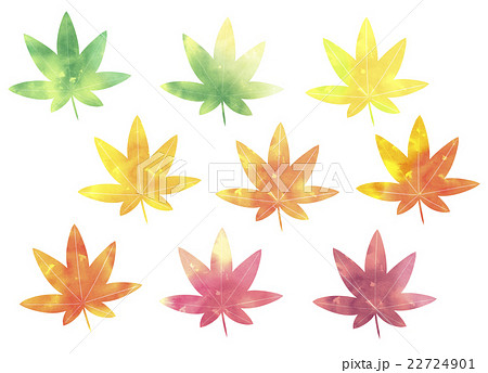 楓の葉のイラスト素材