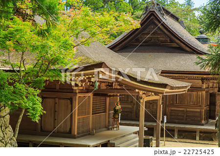 高野山　壇上伽藍 22725425