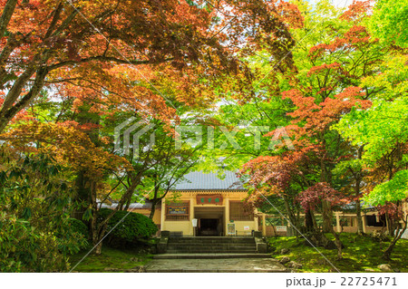 高野山　霊宝館 22725471