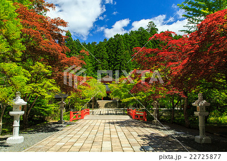 高野山　英霊殿 22725877