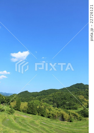 千葉県　新緑の大山千枚田 22726121