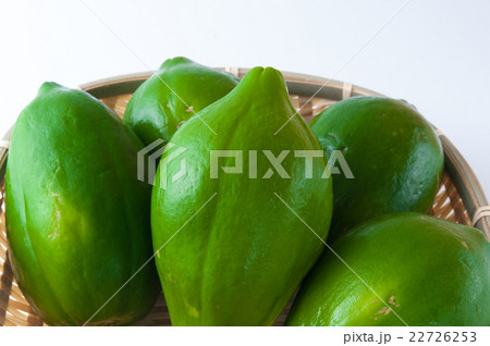 青パパイヤ 青パパイヤ 22726253