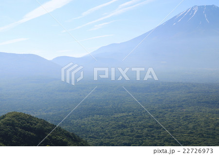 富士山麓の原生林（竜ヶ岳より撮影） 22726973