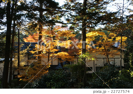 北海道松前城内の紅葉 22727574