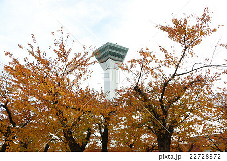 函館を代表する観光地、五稜郭の黄葉2 函館を代表する観光地、五稜郭の黄葉2 22728372