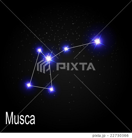 Musca Constellation with Beautiful Bright Stars on 22730366