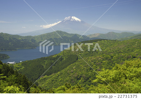 新緑に包まれる富士山 22731375