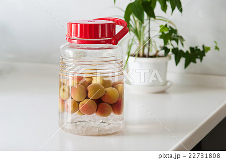 梅酒 梅酒 22731808