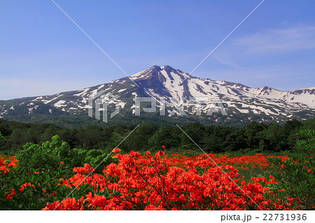 桑ノ木台湿原と鳥海山 桑ノ木台湿原と鳥海山 22731936