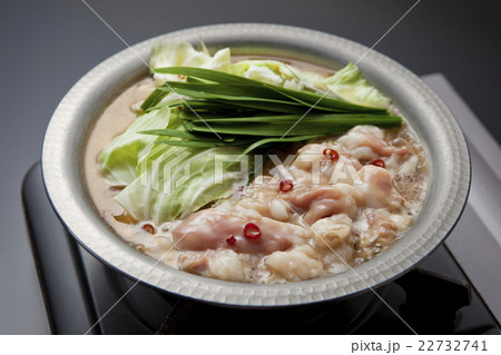 もつ鍋 もつ鍋 22732741