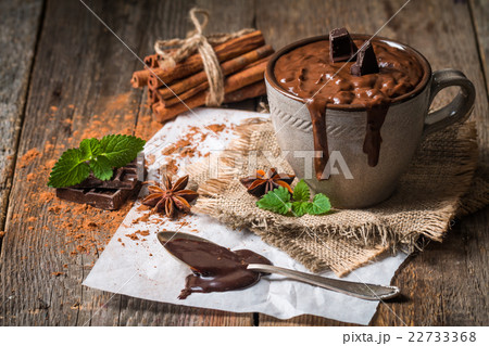 Mug of hot chocolate  22733368