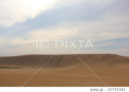 鳥取砂丘 22733391