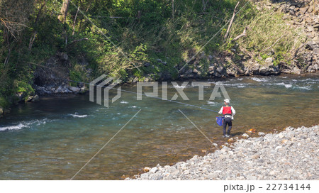 鮎の友釣り風景 鮎の友釣り風景 22734144