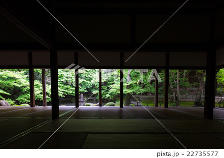 京都市左京区蓮花寺の新緑を撮影したもの 22735577