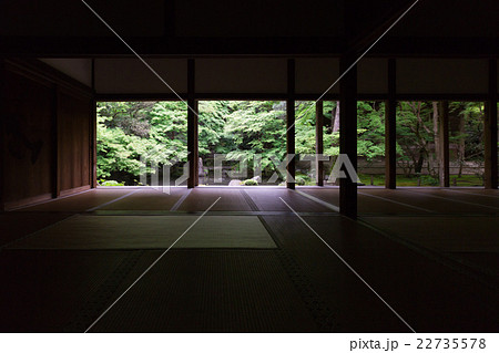 京都市左京区蓮花寺の新緑を撮影したもの 22735578