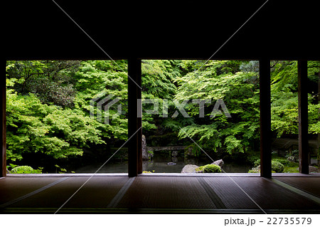 京都市左京区蓮花寺の新緑を撮影したもの 22735579
