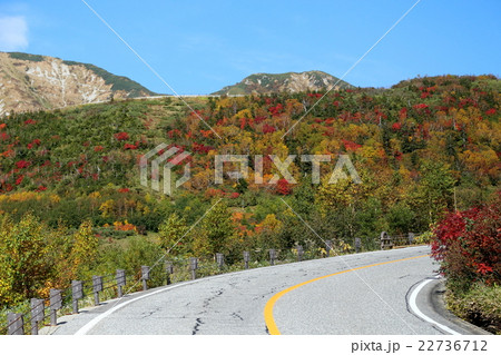 立山 弥陀ヶ原の紅葉 立山 弥陀ヶ原の紅葉 22736712