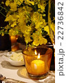 キャンドル 22736842