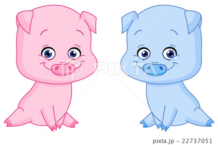 Baby pigs 22737051