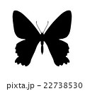 Silhouette of butterfly isolated on white 22738530