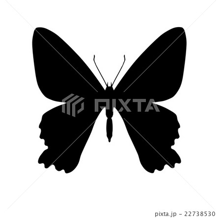 Silhouette of butterfly isolated on white 22738530