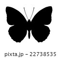 Silhouette of butterfly isolated on white 22738535