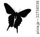 Silhouette of butterfly isolated on white 22738536