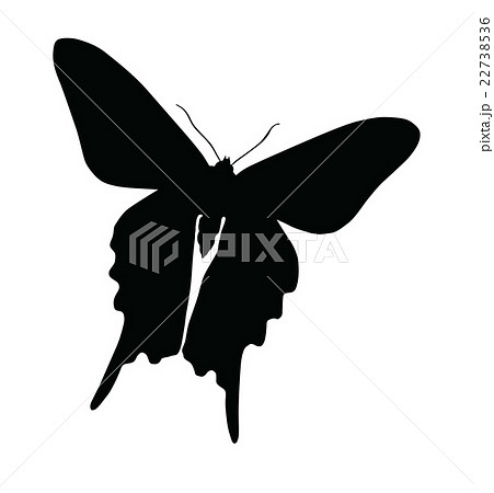 Silhouette of butterfly isolated on white 22738536