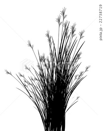 Field grass on a white background isolated 22738719