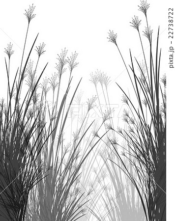 Field grass on a white background isolated 22738722