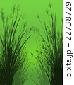 Field grass on a green background isolated 22738729