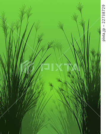 Field grass on a green background isolated 22738729