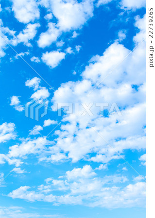 爽やか初夏の空　コピースペース　文字スペース　積雲　背景用素材 22739265