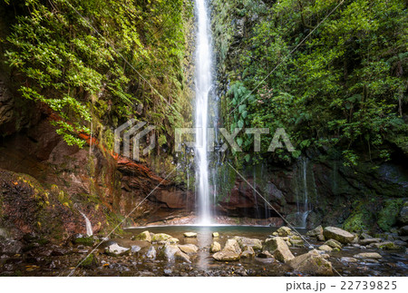 Waterfal at levada walk 25 fountains, Madeira 22739825