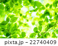 新緑エコイメージ 22740409