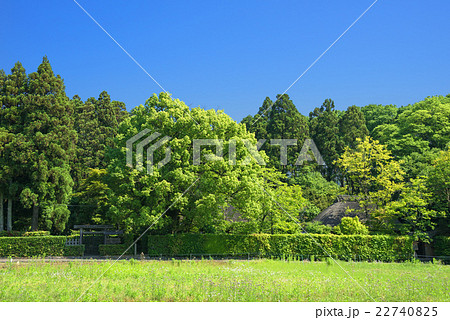 嵯峨野の風景 22740825