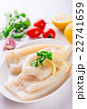 Raw squid and ingredients on the white plate 22741659